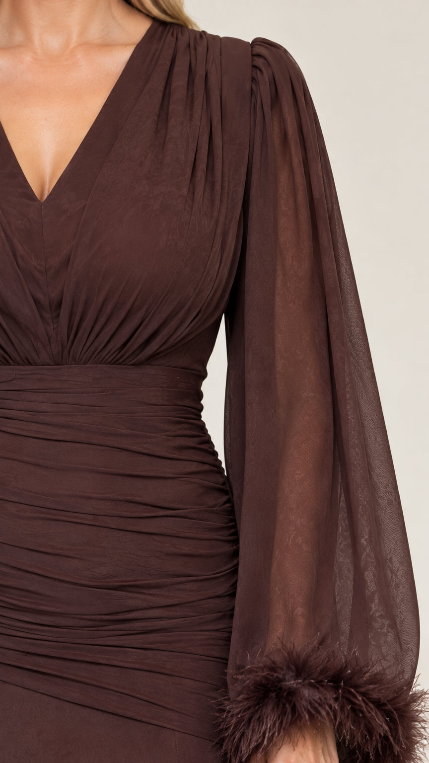 Close-up detail of pleated V-neck, ruched bodice, and feather-trimmed sheer sleeve