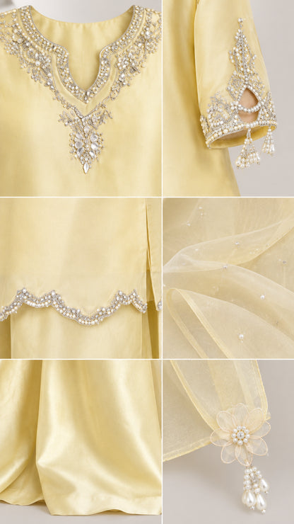 Close-up details of intricate neckline embroidery, scalloped hem, embellished cuffs, and sheer dupatta tassel